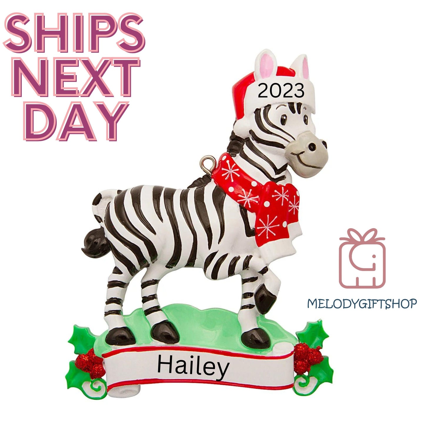 Personalized Zebra Kids Christmas Ornament